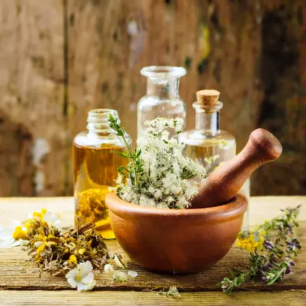 phytotherapie